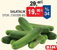 SALATALIK KG fiyat ve kampanya bilgisi